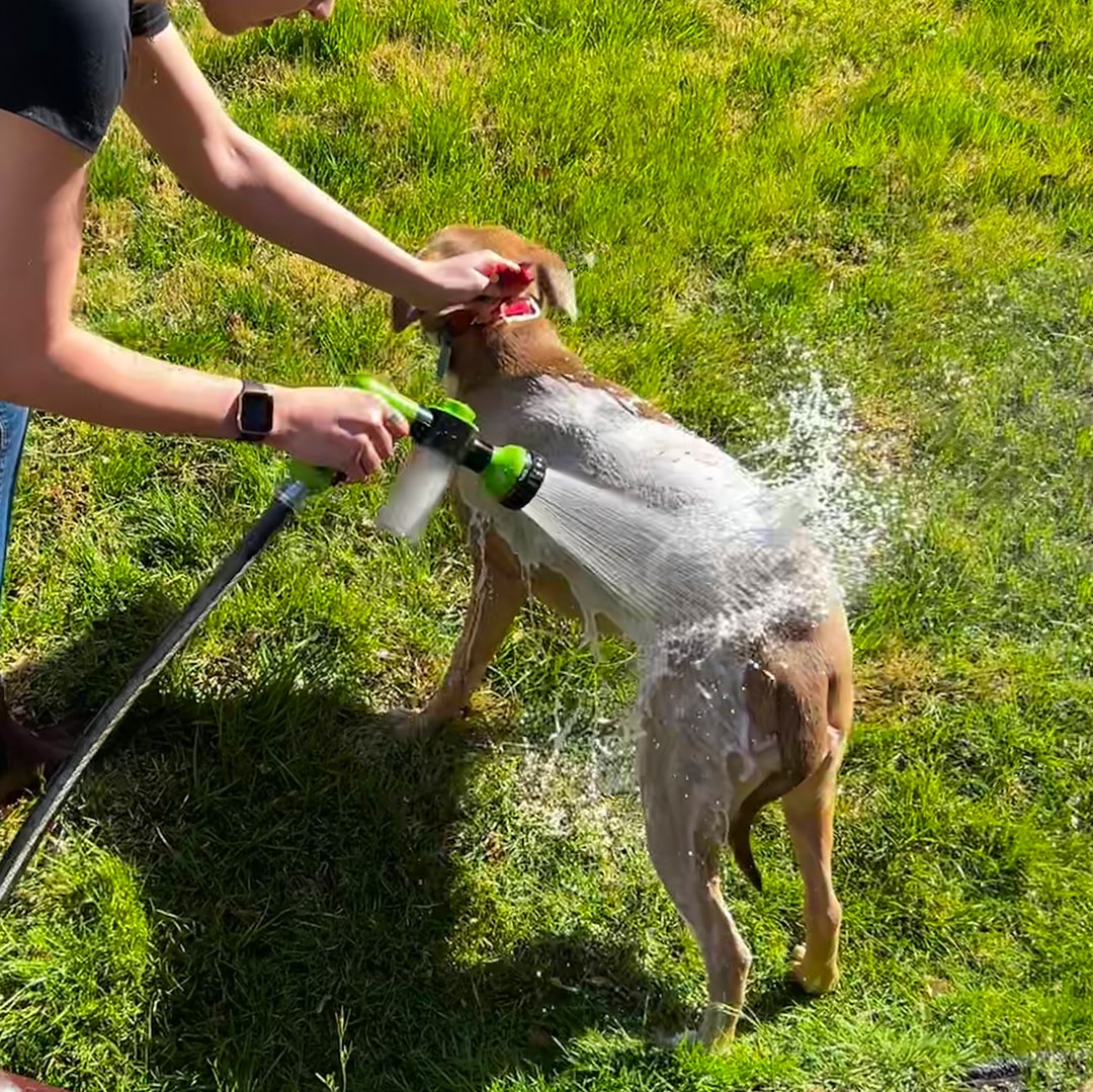 Spray de limpieza fácil y rápido para animales