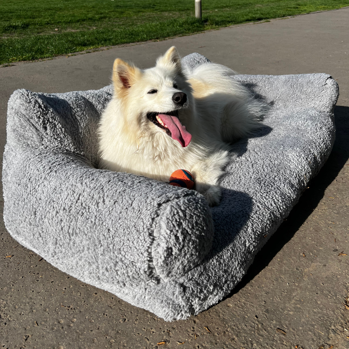 Divano rilassante per animali - Comfort e serenità assicurati