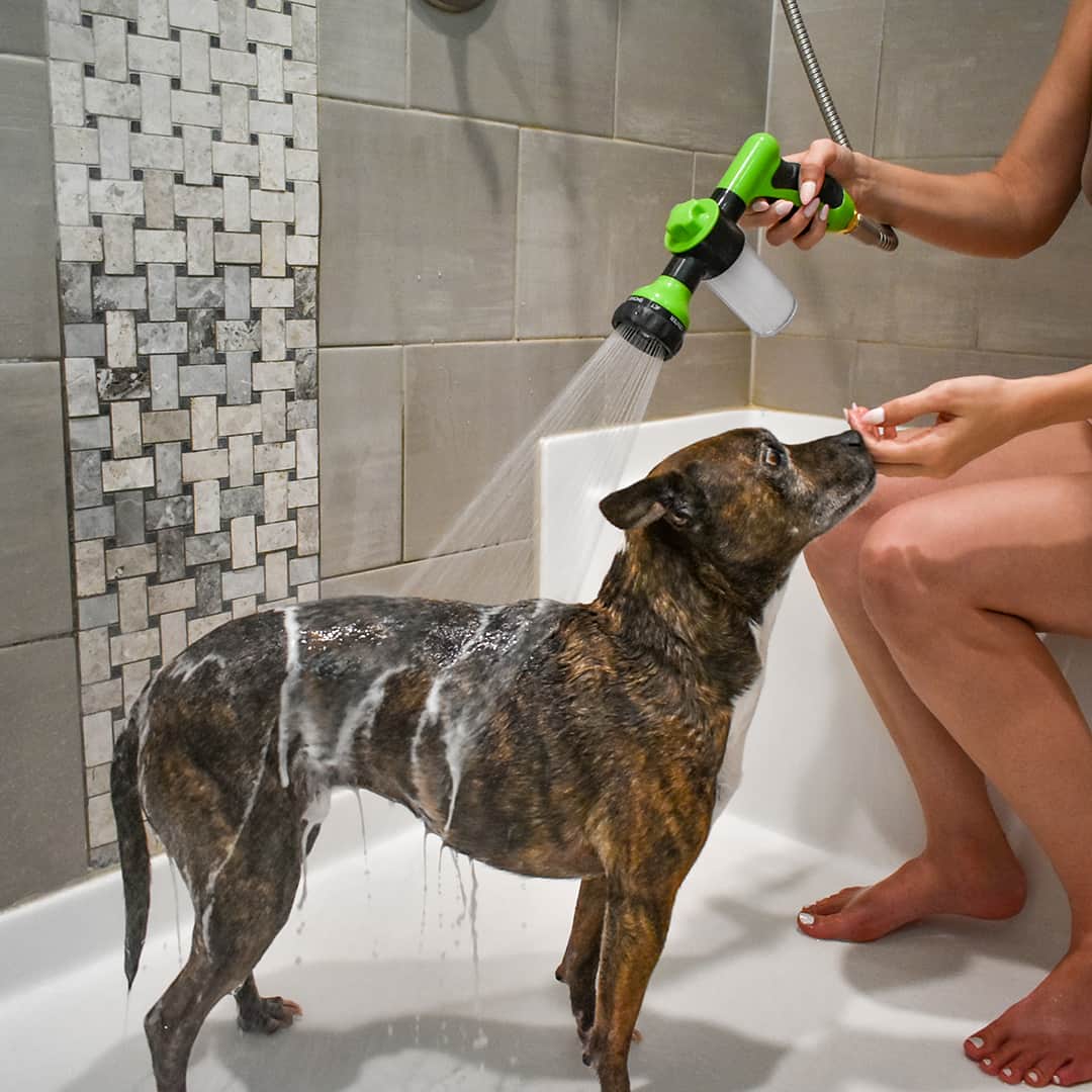 Spray de limpieza fácil y rápido para animales