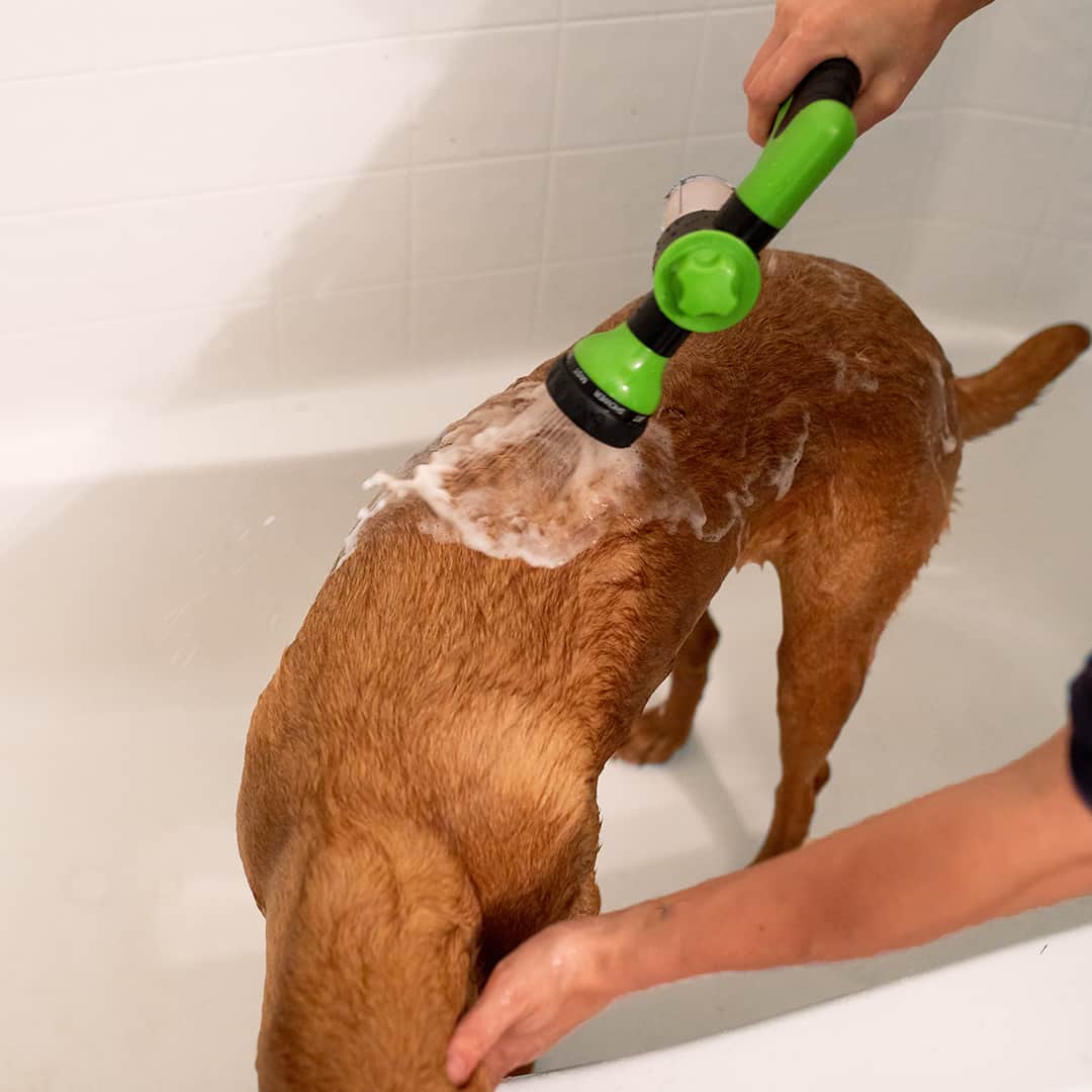 Spray de limpieza fácil y rápido para animales