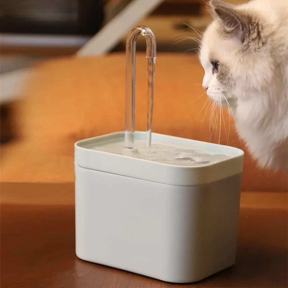 Fontaine à eau pour une hydratation optimale de votre chat